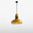Maxton 1-Light Unique Industrial Barn Pendant