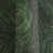 Green & Black Leaves