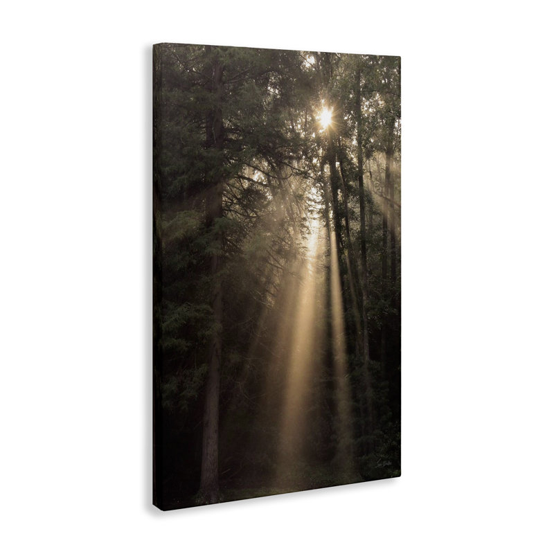  «Sunlight Through Tree Canopy», art mural par Lori Deiter, H 30 po x l 20 po