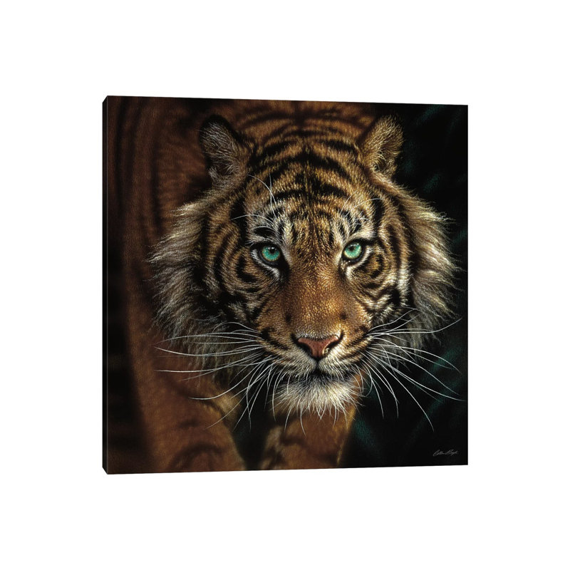 Eye Of The Tiger, Square by Collin Bogle - Painting on Canvas, 45.72 cm H x 45.72 cm W, No Frame