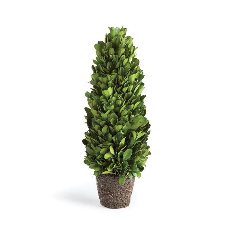 Alby Faux Plant, 12" H x 4" W x 4" D