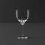 Octavie 12.5 oz. All Purpose Wine Glass