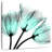 Harnek Cool Growth-109204619