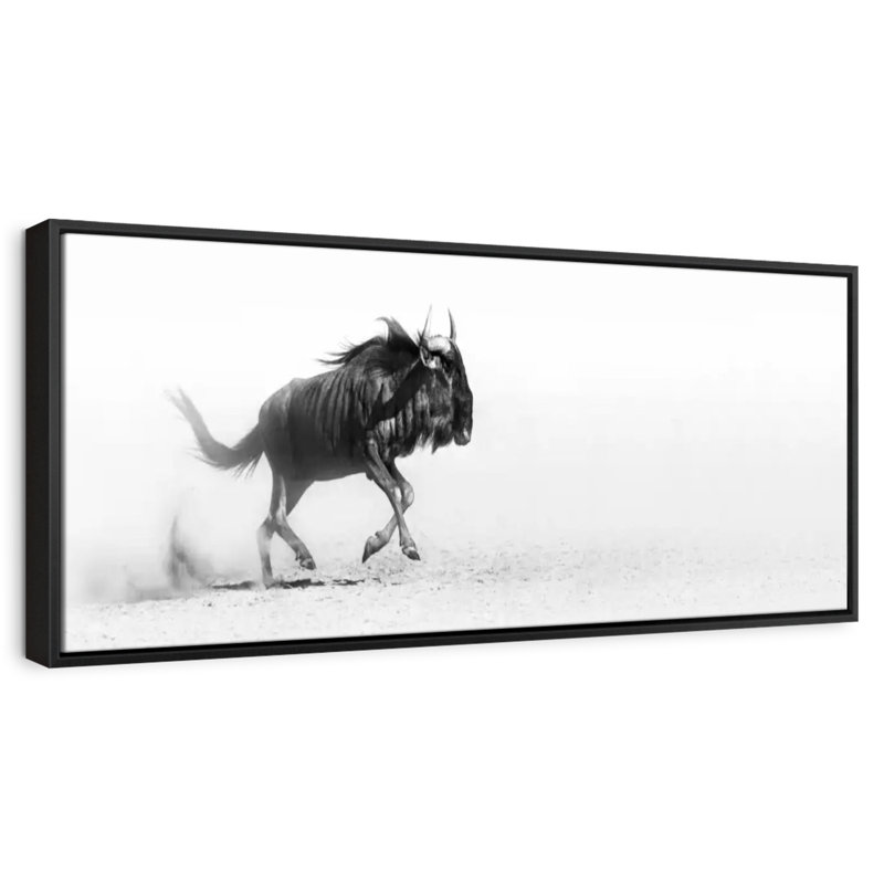 Safari gnou, Cadre flottant noir, 28 po x 10 po