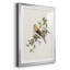 Spring Spring Pine Grosbeak - peinture encadrée-123802659-123802658