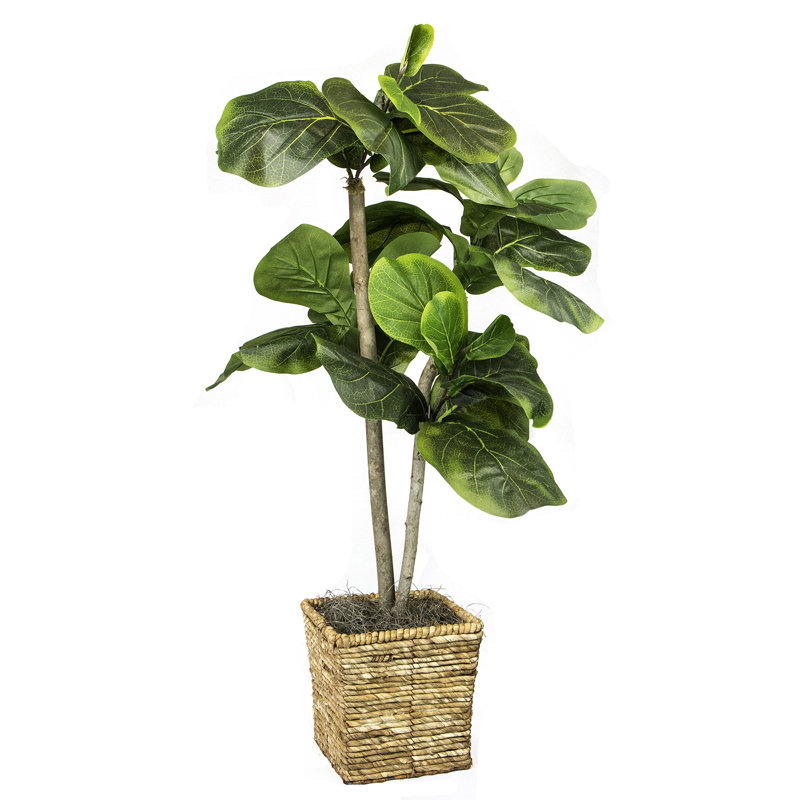 38.00'' Artificial Mini Fiddle Leaf Fig Tree in Basket