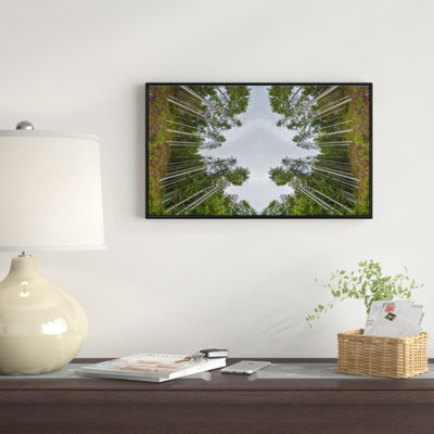 «Circle Composition of Coniferous Trees», reproduction de photo sur toile tendue encadrée
