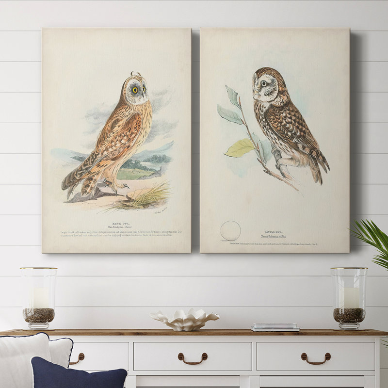Hawk Owl - Toile tendue avec châssis de qualité supérieure - Prêt à être accroché, H 60 po x l 80 po