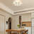 Hezikiah 6 - Light 19.7" Acrylic LED Flush Mount Ceiling Light