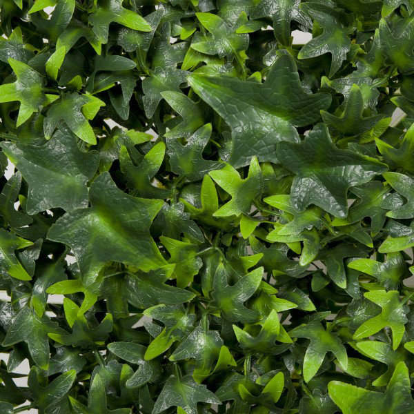 53cm Plant
