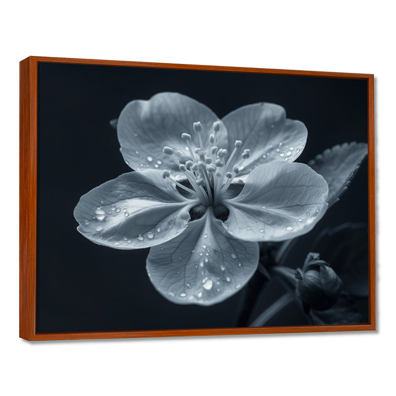 Genao - salon d'art mural en fleurs, Cadre flottant brun, H 12 po x l 20 po