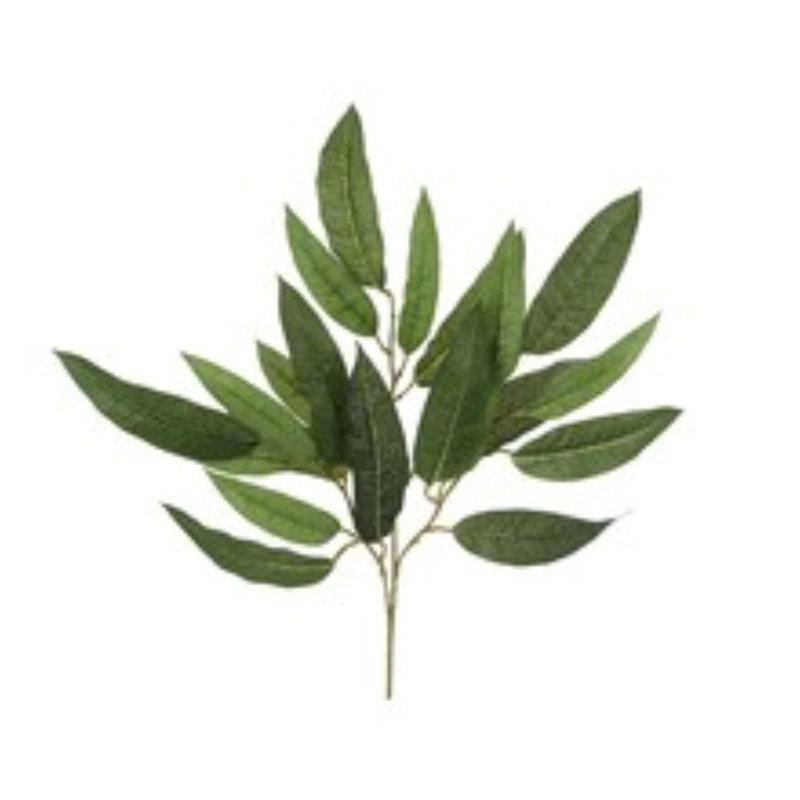 Vaporisateur de feuilles de manguier 21 po - paquet de 12