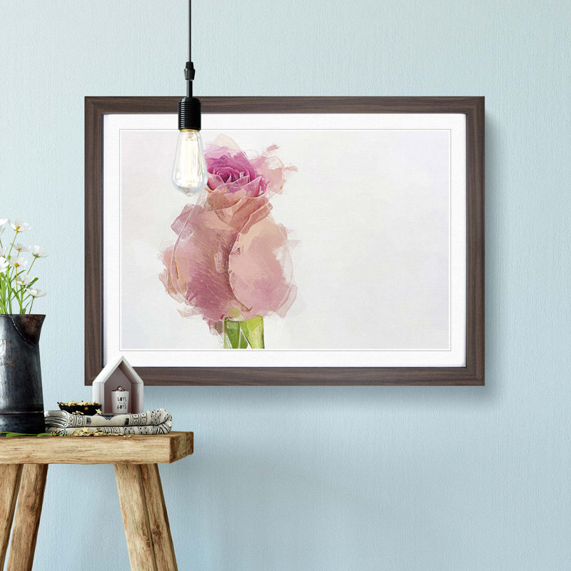 Pink Rose Beginning to Bloom - Picture Frame Graphic Art Print, 35cm H x 50cm W x 2cm D, Walnut