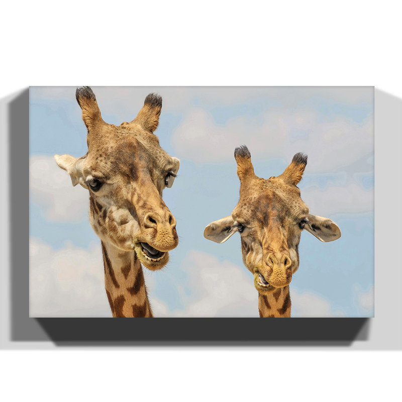 Wrapped Canvas Print, 50cm H x 76cm W