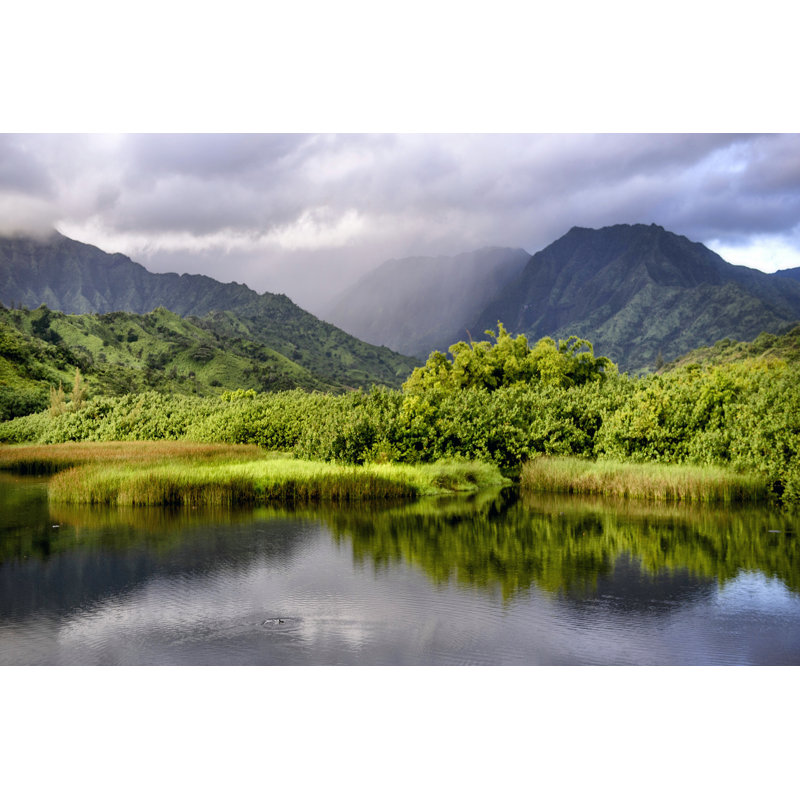 Coastal Marsh III - Photograph, 81 cm H x 122 cm W, Black Floater Frame