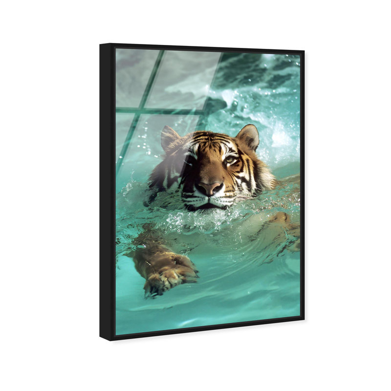 Oliver Gal Feline Pool Dip Animals - Framed Acrylic Glass Wall Art, 54" H x 36" W, Gold