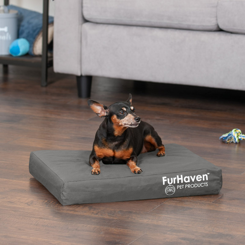 Oxford Indoor/Outdoor Deluxe Full Support Dog Bed, Medium (30" W x 20" D x 3" H), Stone Gray