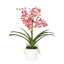 Polysilk Orchid Arrangement In Pot-2030385137-2030385142