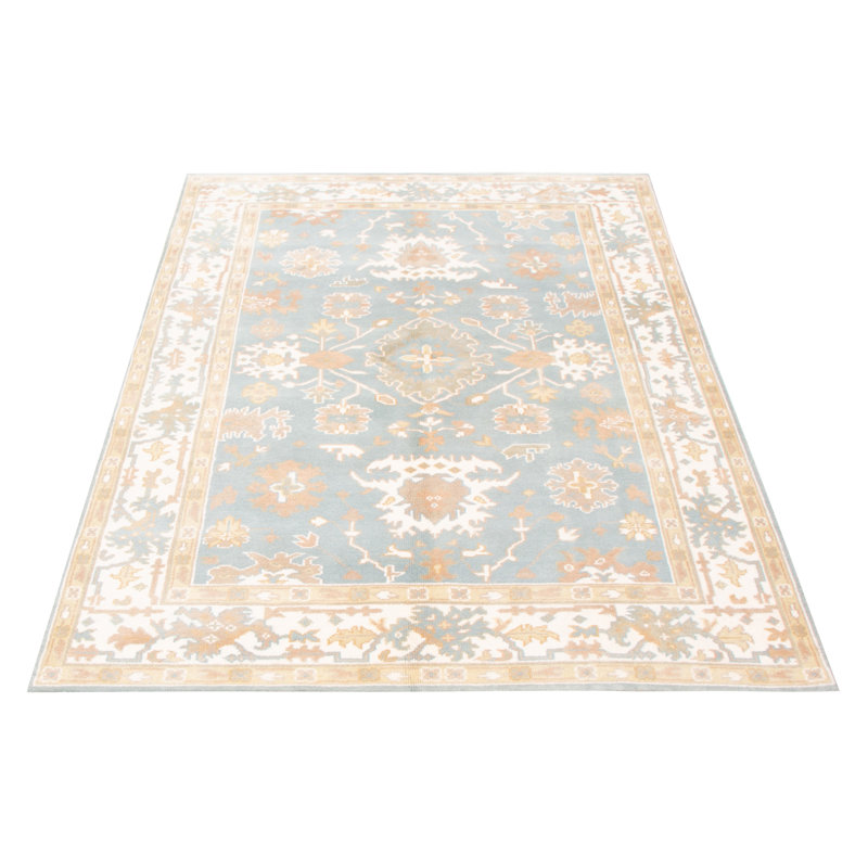 Tapis oriental bleu clair / brun en laine noué à la main 6 pi x 8 pi 10 po