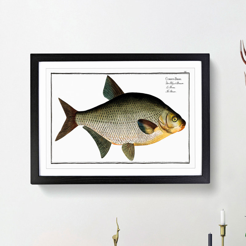 Bream Fish - Picture Frame Painting Print, Black Framed, 27cm H x 36cm W x 2cm D