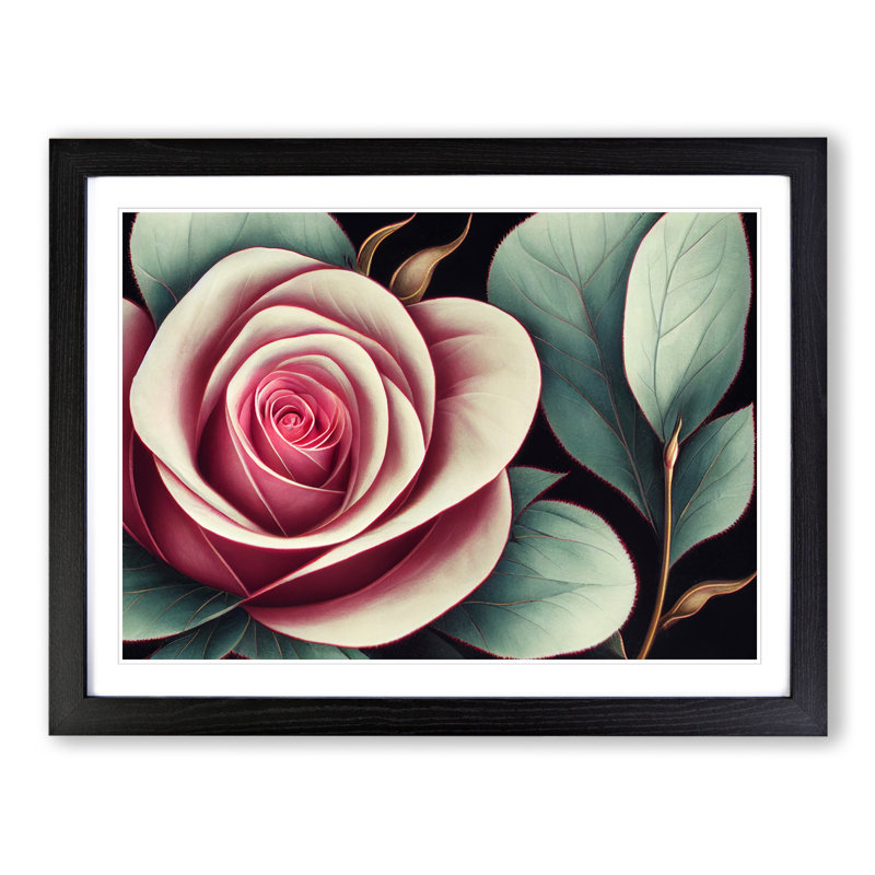 Splendid Rose Flower - Framed Print, Black, 46cm H x 64cm W x 2cm D