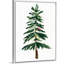 «Warm Winter Wishes VII» par June Erica Vess, reproduction d'art sur toile-54367022-54367187