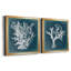 Azure Coral I - ensemble de 2 cadres photo sur toile-1002306478-1002306471