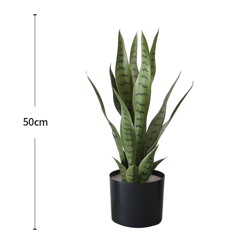 Plant, 105cm H x 15cm W x 50cm D