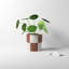 Caitlin Ceramic Pot Planter-84994631