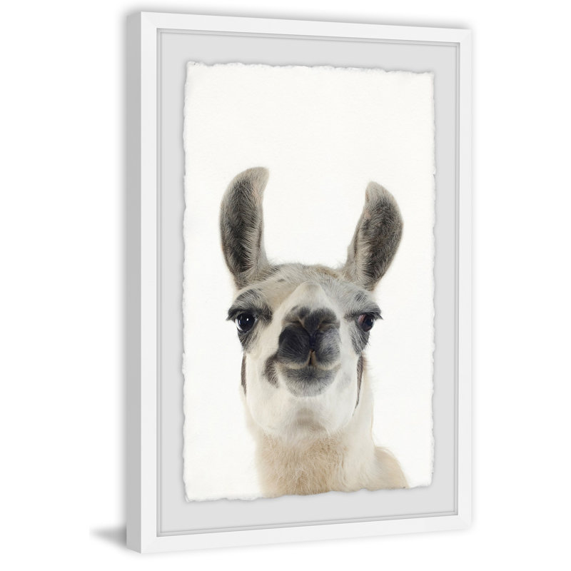 Black and White Llama - Drawing, 30cm H x 20cm W