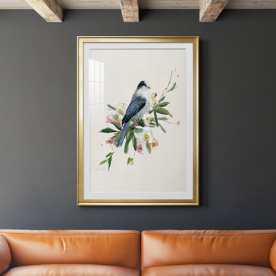 Spring Spring Gray Jay - peinture encadrée