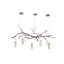 Decicco 5 - Light Chandelier