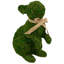 Lapin vert 10,5
