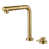 Brushed Gold selected
