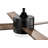 Avamaria 52'' Ceiling Fan with LED Lights-681311389