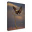 Fillmer «Eagle Landing on Branch», reproduction de photo sur toile tendue-30356678