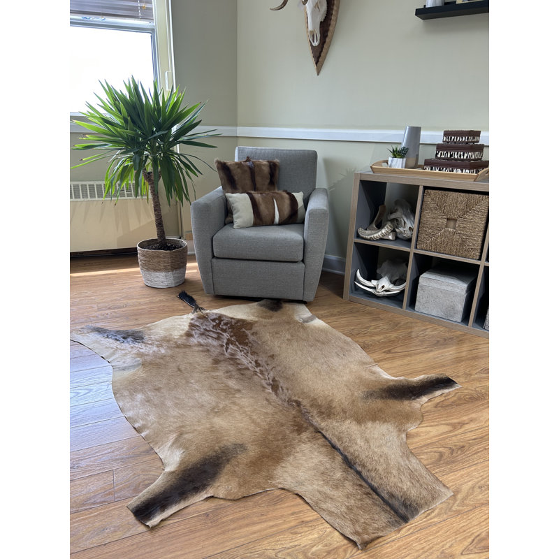 Real Hartebeest Antelope Hide Rug