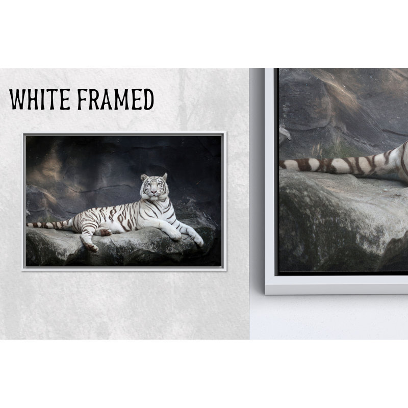 Art mural animal minimaliste: impression de tigre blanc sur toile, toiles à cadre blanc 1P, 35,5 po H x 47,3 po l
