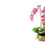 Wynn RealTouch Orchid-224344535
