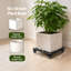 Plant Stand