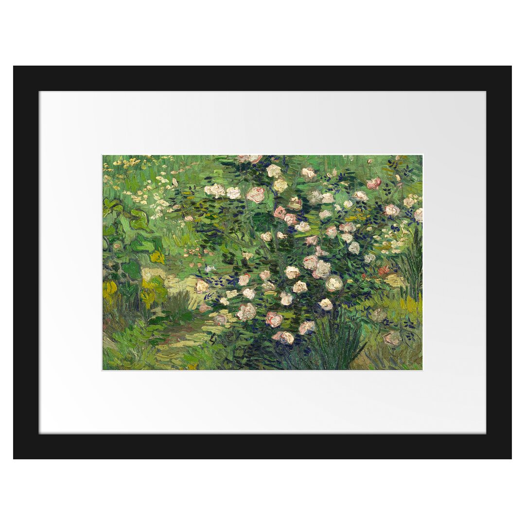 Gerahmter Kunstdruck Roses von Vincent Van Gogh