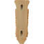 Corbeau moyen-120330238-91125451