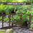Classic Garden Bridge-98251698