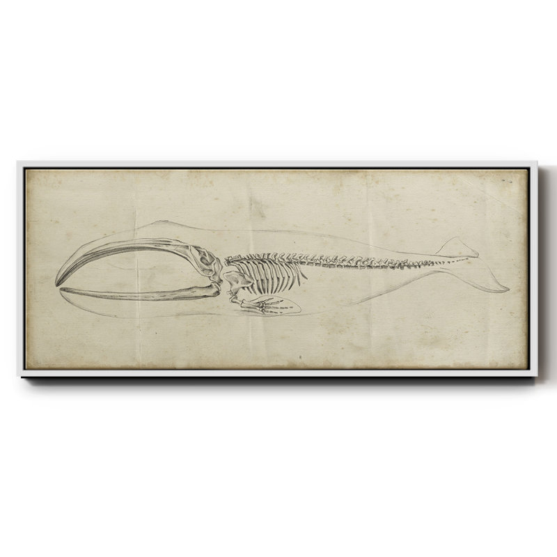 Whale Study I, reproduction d'art sur toile, Blanc, H 12 po x l 30 po x P 1,5 po