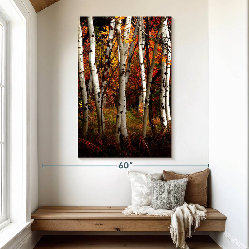 Harnek Paper Birch, 51" H x 34" W