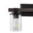 Borth Iron/Seeded Glass Rustic Farmhouse LED Vanity Light-23242562-19216084
