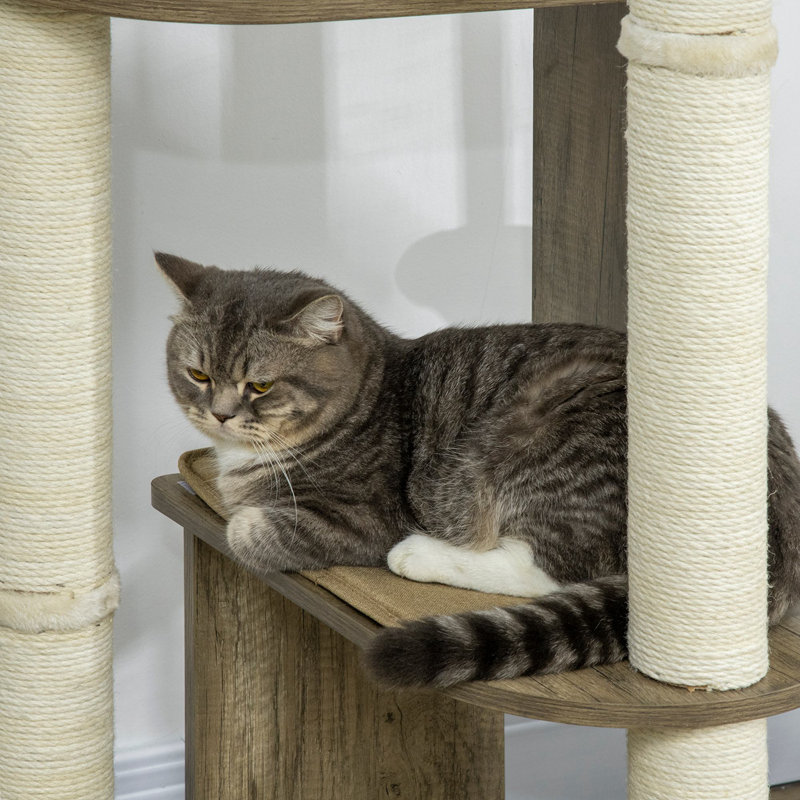 Arbre à chat d'angle moderne
