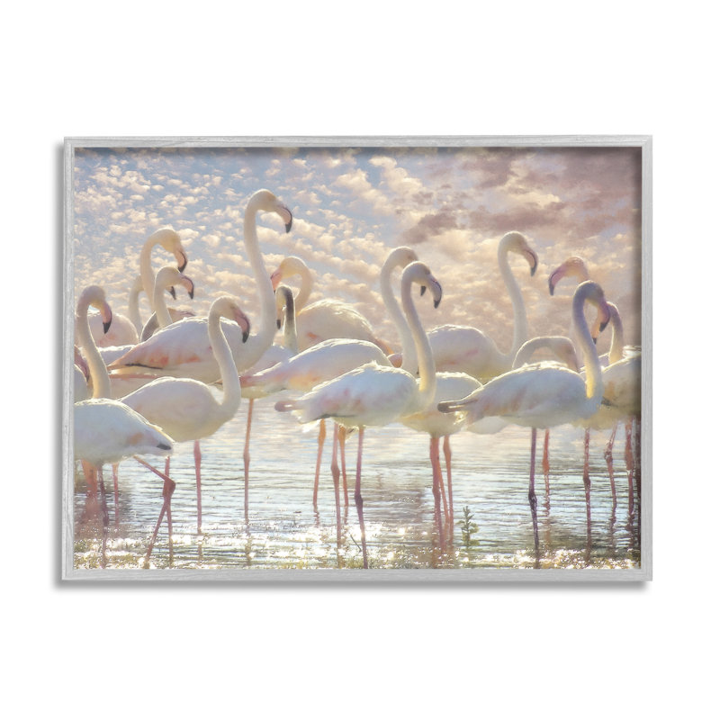 Jolis flamants roses et blancs sur fond de nuages d'eau scintillants par Steve Hunziker - photographie