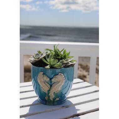 Claybarn Grotto Seashell Stoneware Pot Planter & Reviews