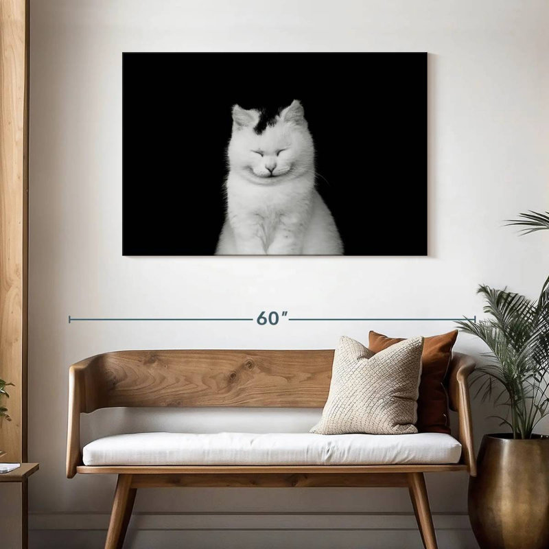 Chat blanc ravi Brampt, H 30 po x l 45 po